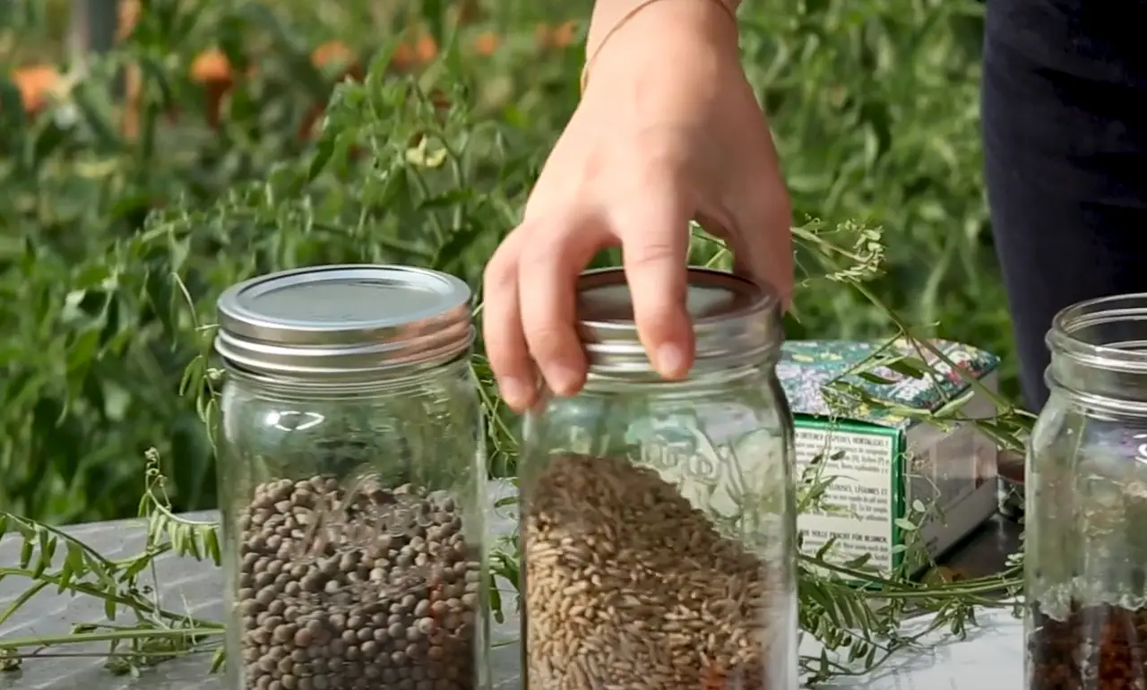 How to Winterize Garden Beds? GardenProfy