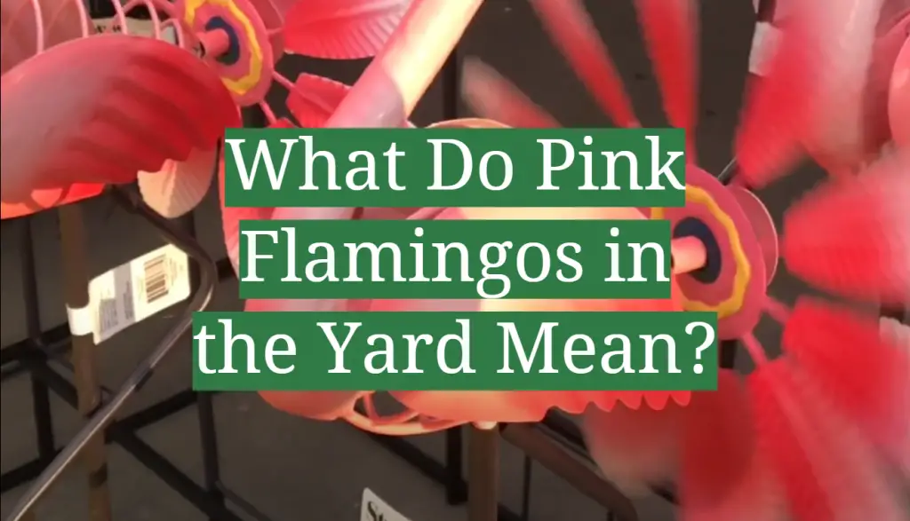 What Do Pink Flamingos in the Yard Mean? GardenProfy