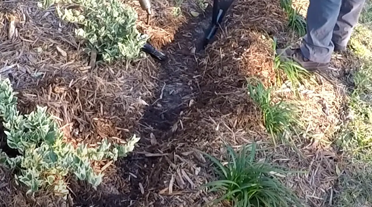 Can You Bury an Outside Extension Cord in the Yard? GardenProfy