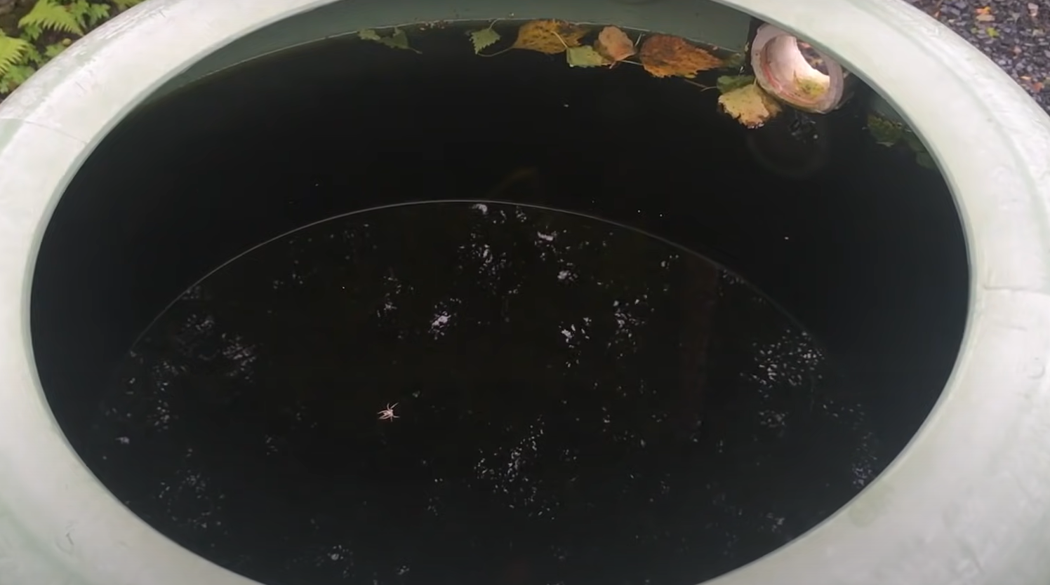 How To Collect Rainwater For Garden GardenProfy How to collect rainwater for garden gardenprofy