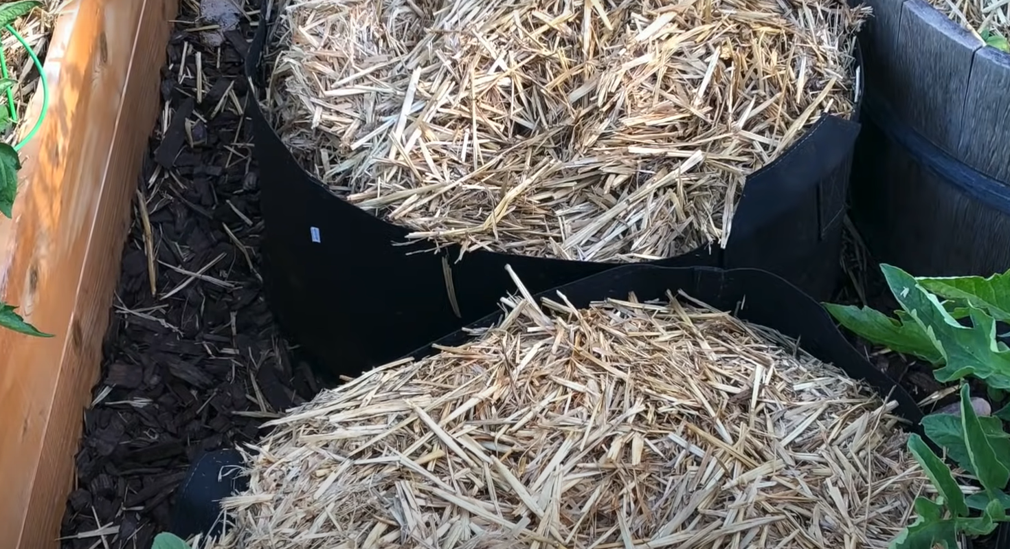 How to Mulch Vegetable Garden? GardenProfy