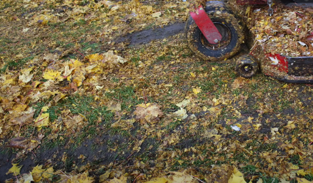 How to Mulch Vegetable Garden? GardenProfy