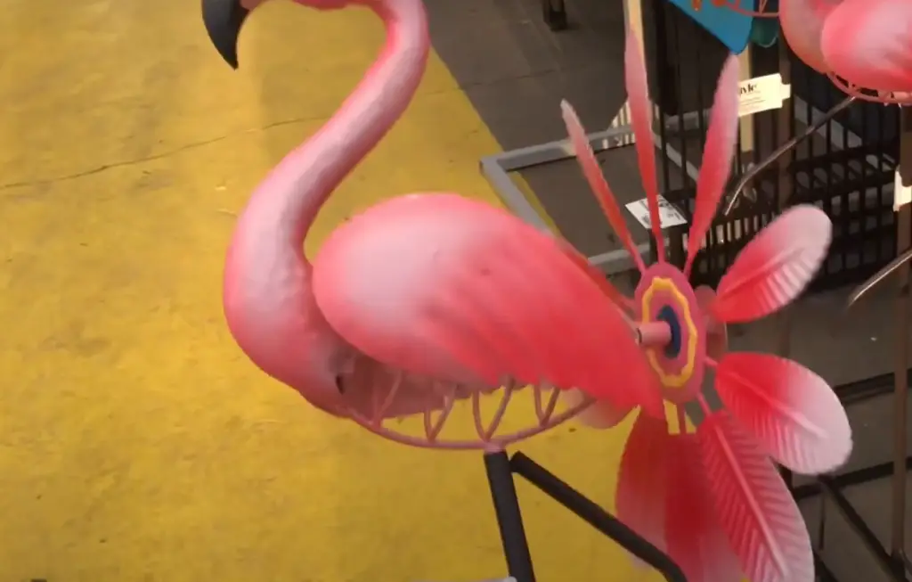 Pink Flamingo in the Yard Origins