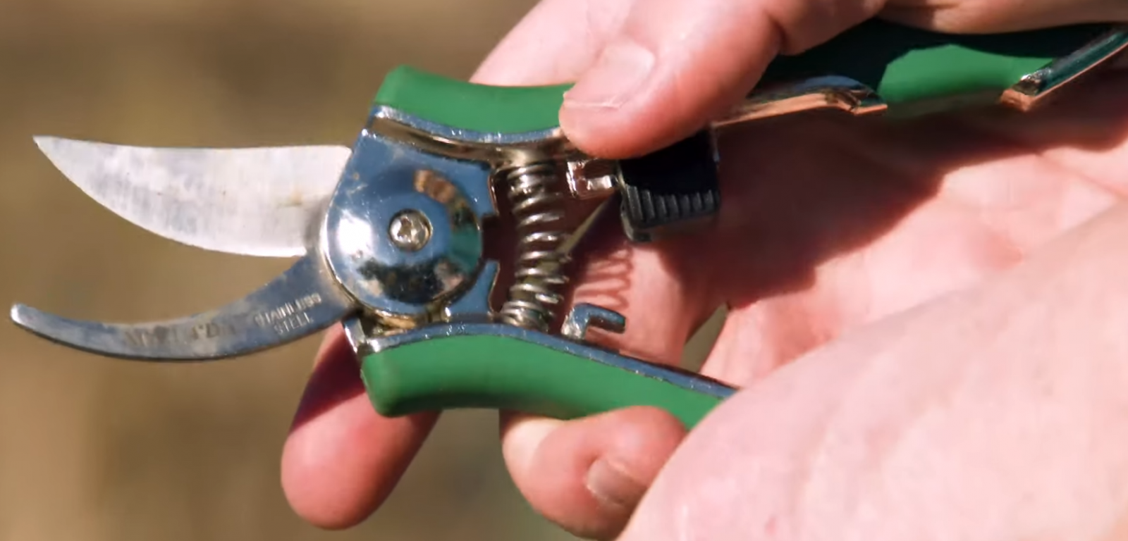 Anvil vs. Bypass Pruners Which is Better for Gardening? GardenProfy