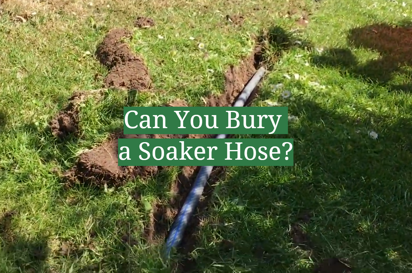 Can You Bury a Soaker Hose?