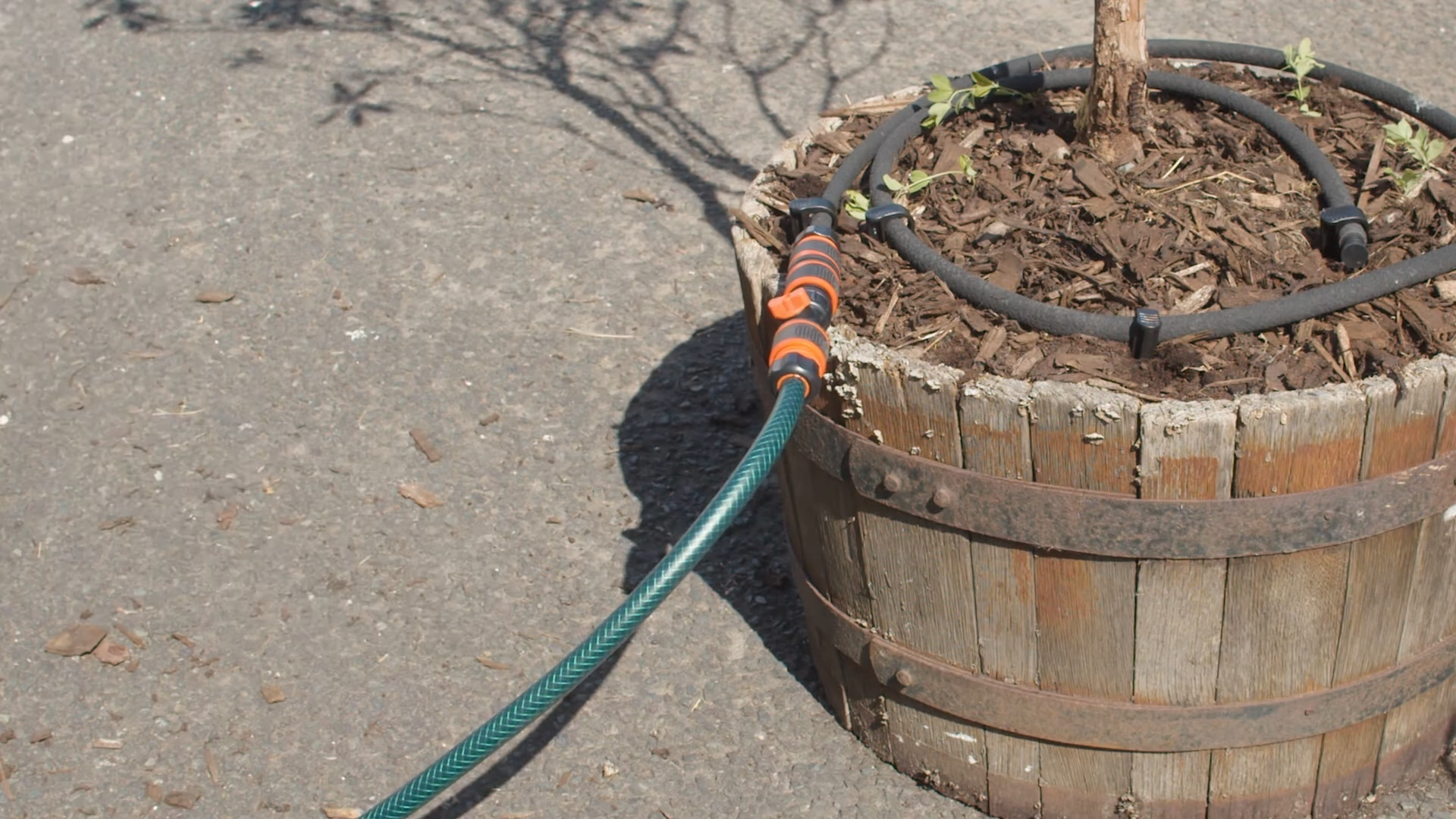 How Long to Run Soaker Hose for Trees? GardenProfy