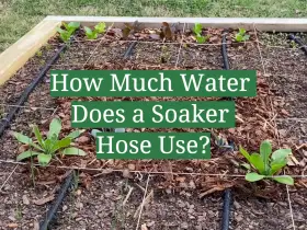 How Much Water Does a Soaker Hose Use?
