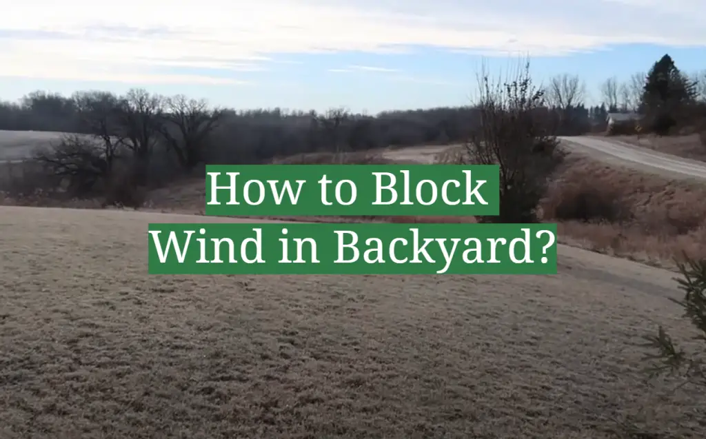 How to Block Wind in Backyard - GardenProfy