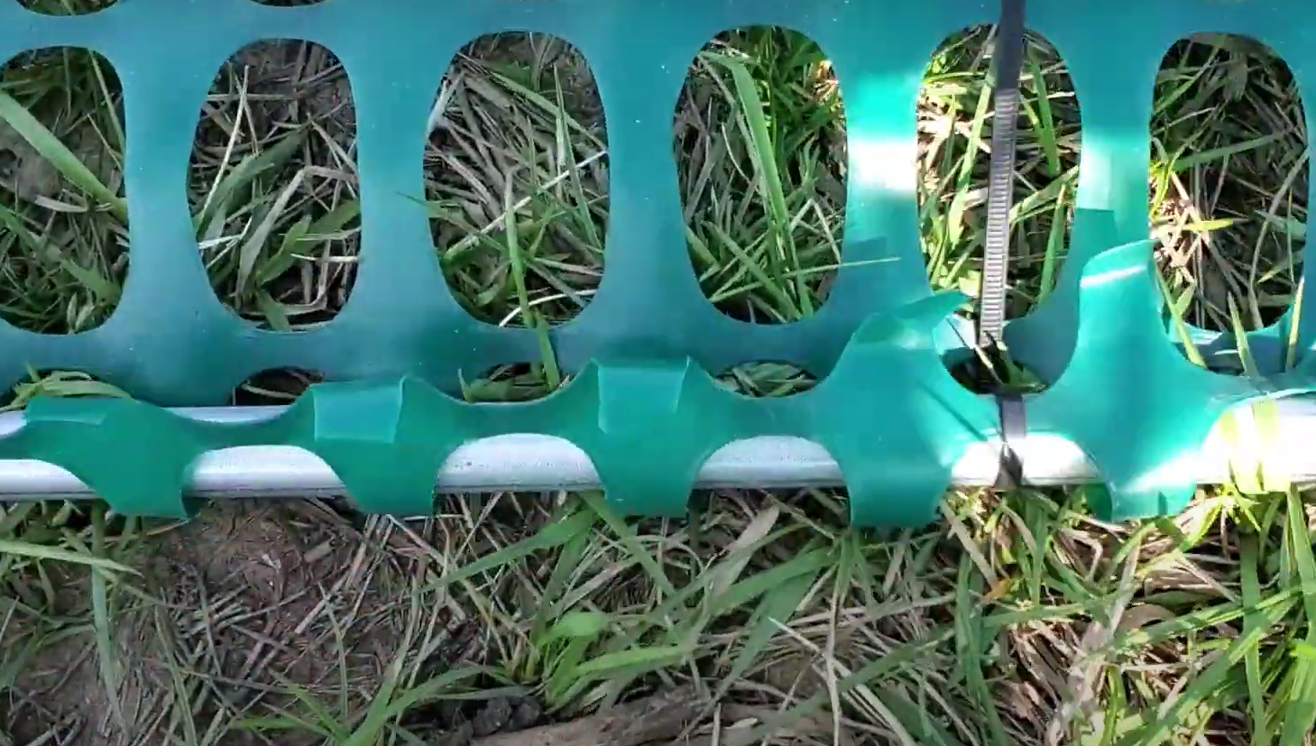 How to Block Wind in Backyard GardenProfy