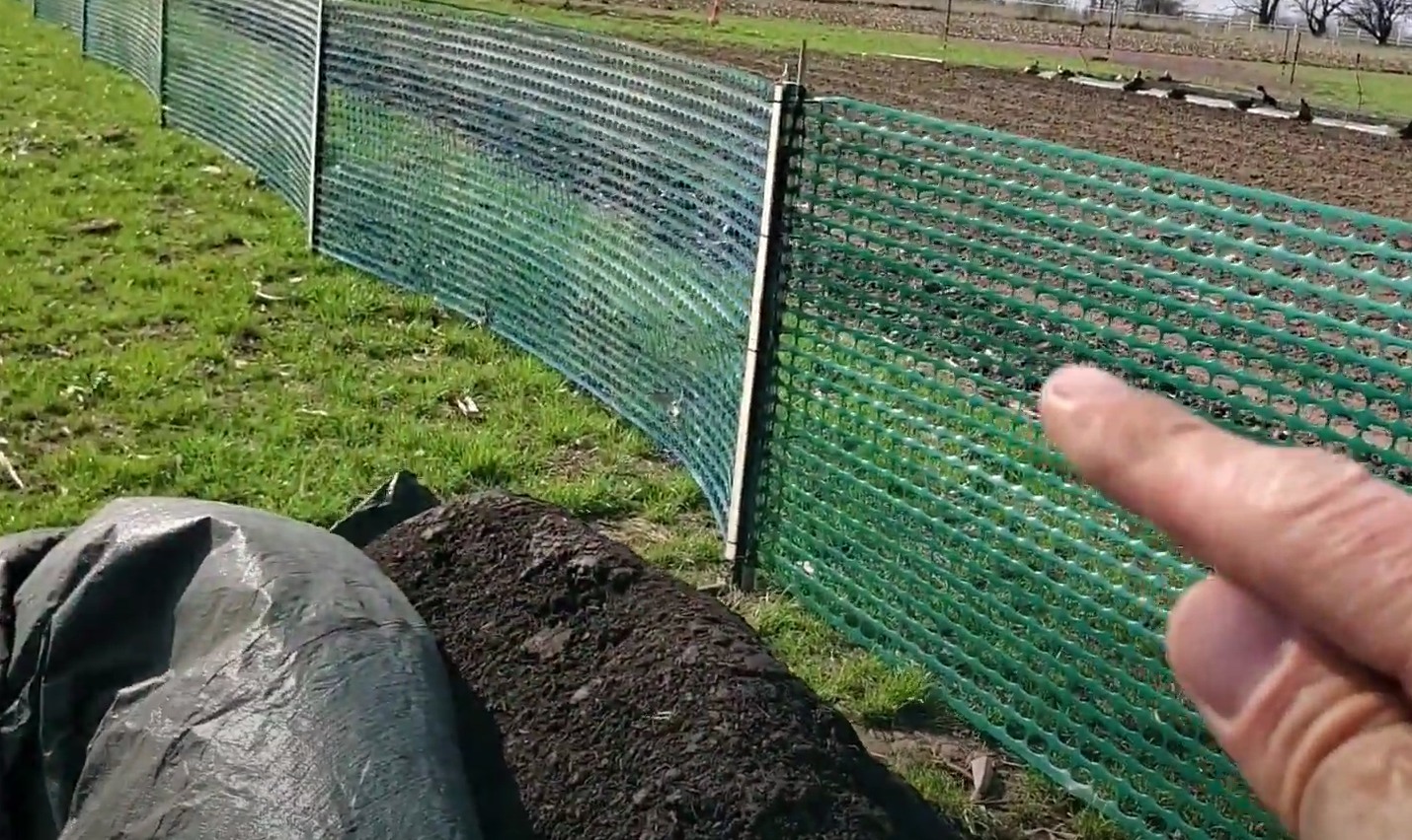 How to Block Wind in Backyard GardenProfy