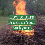 How to Burn Brush in Your Backyard?
