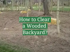 How to Clear a Wooded Backyard?