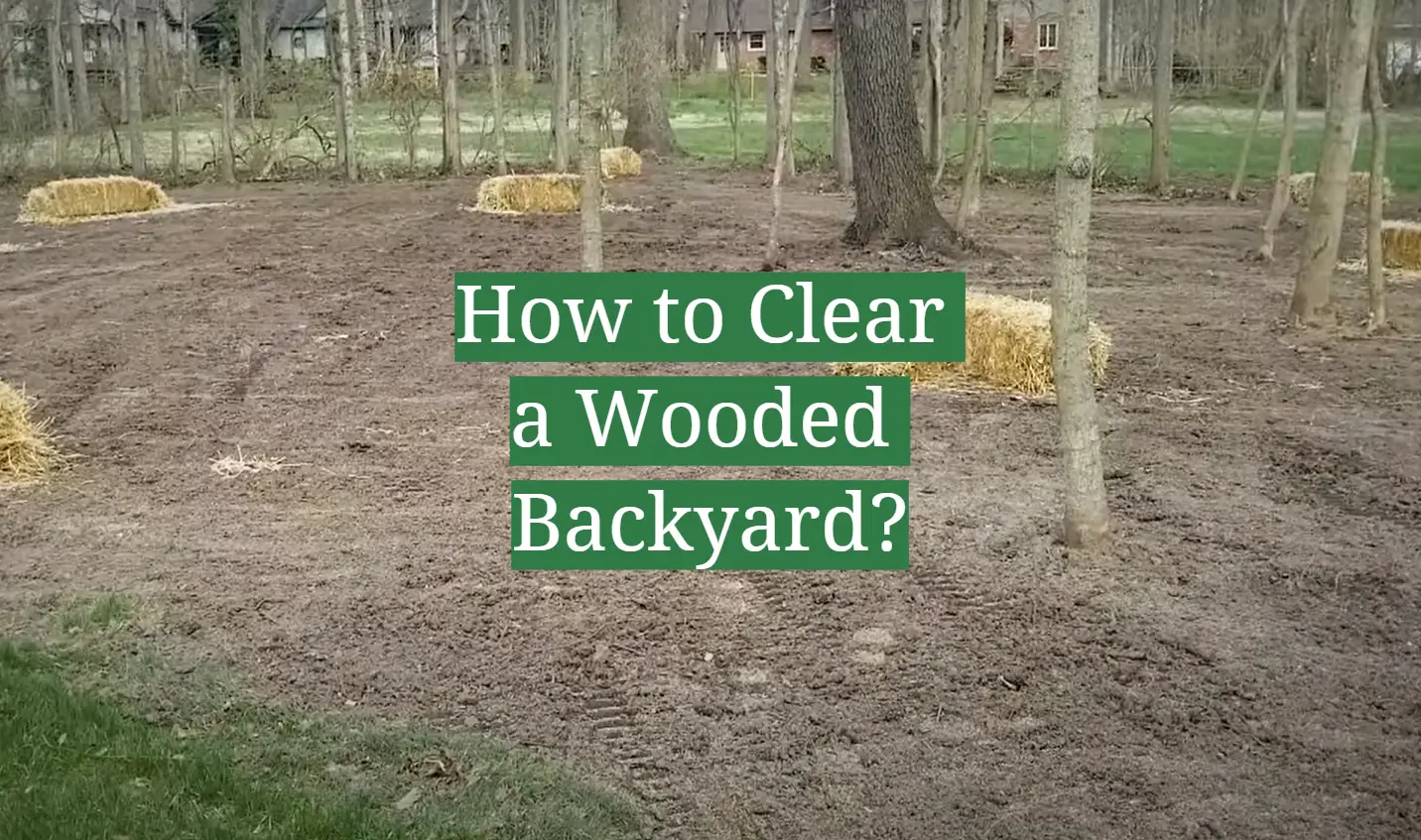 How to Clear a Wooded Backyard?
