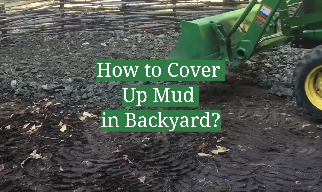 How to Cover Up Mud in Backyard?