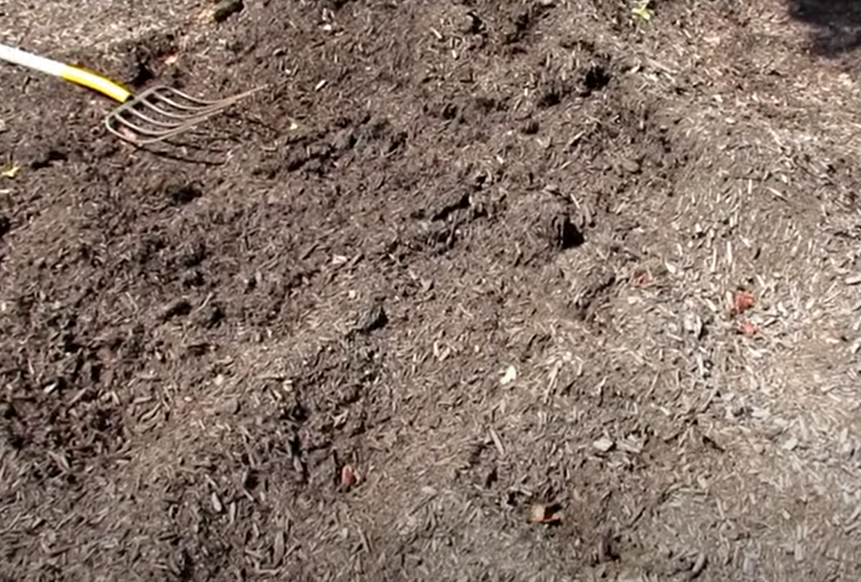 How to Fill a Raised Garden Bed Cheap? GardenProfy