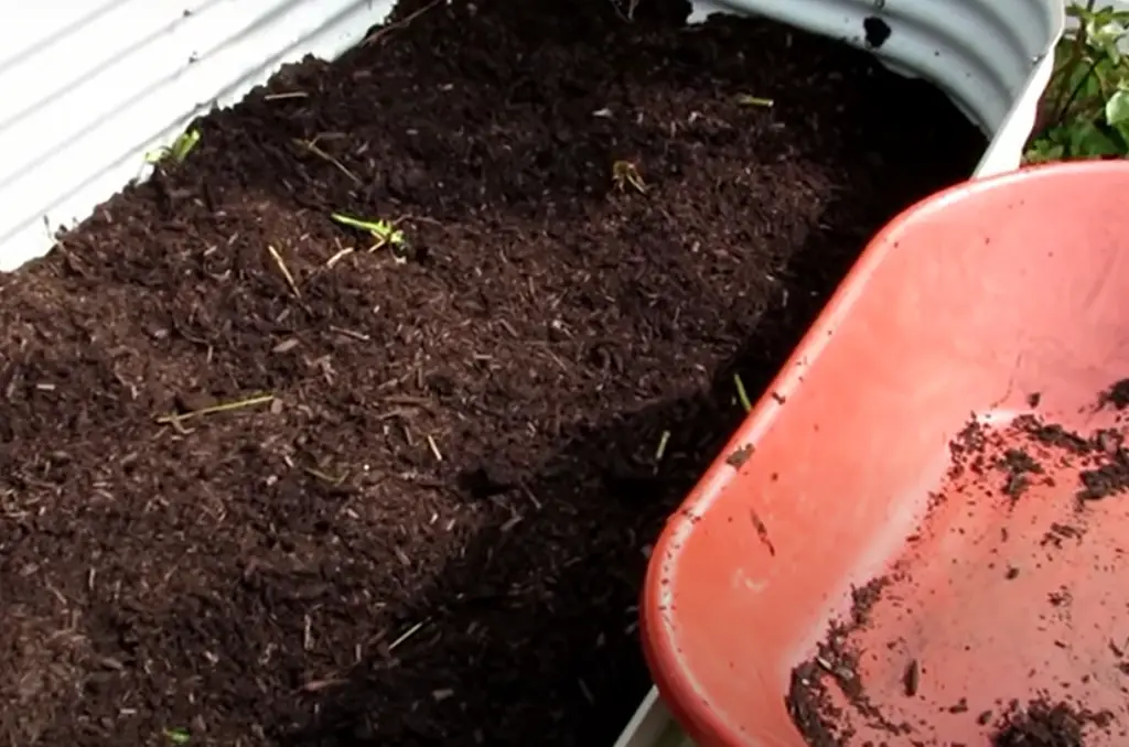 Differences Between Raised Garden Beds Soil and Garden Soil