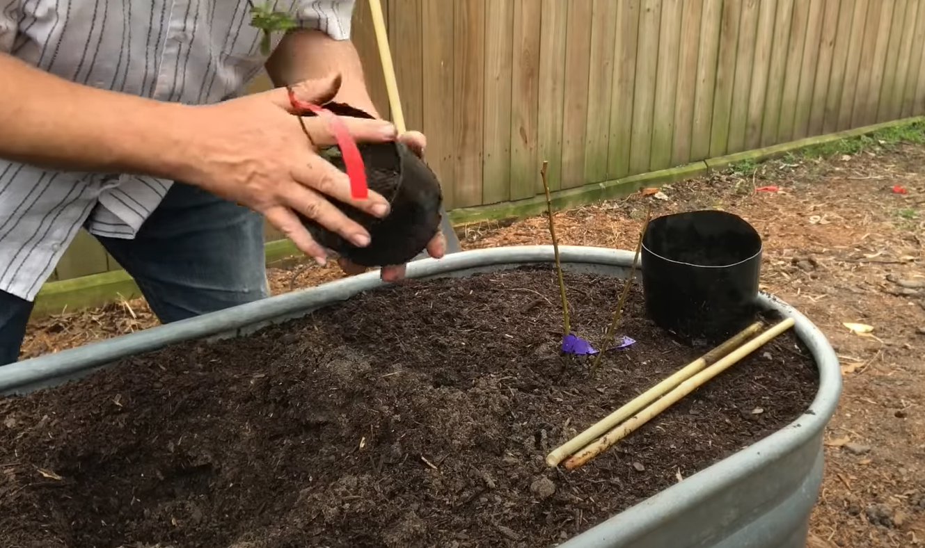 How to Fill a Raised Garden Bed Cheap? GardenProfy