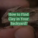 How to Find Clay in Your Backyard?