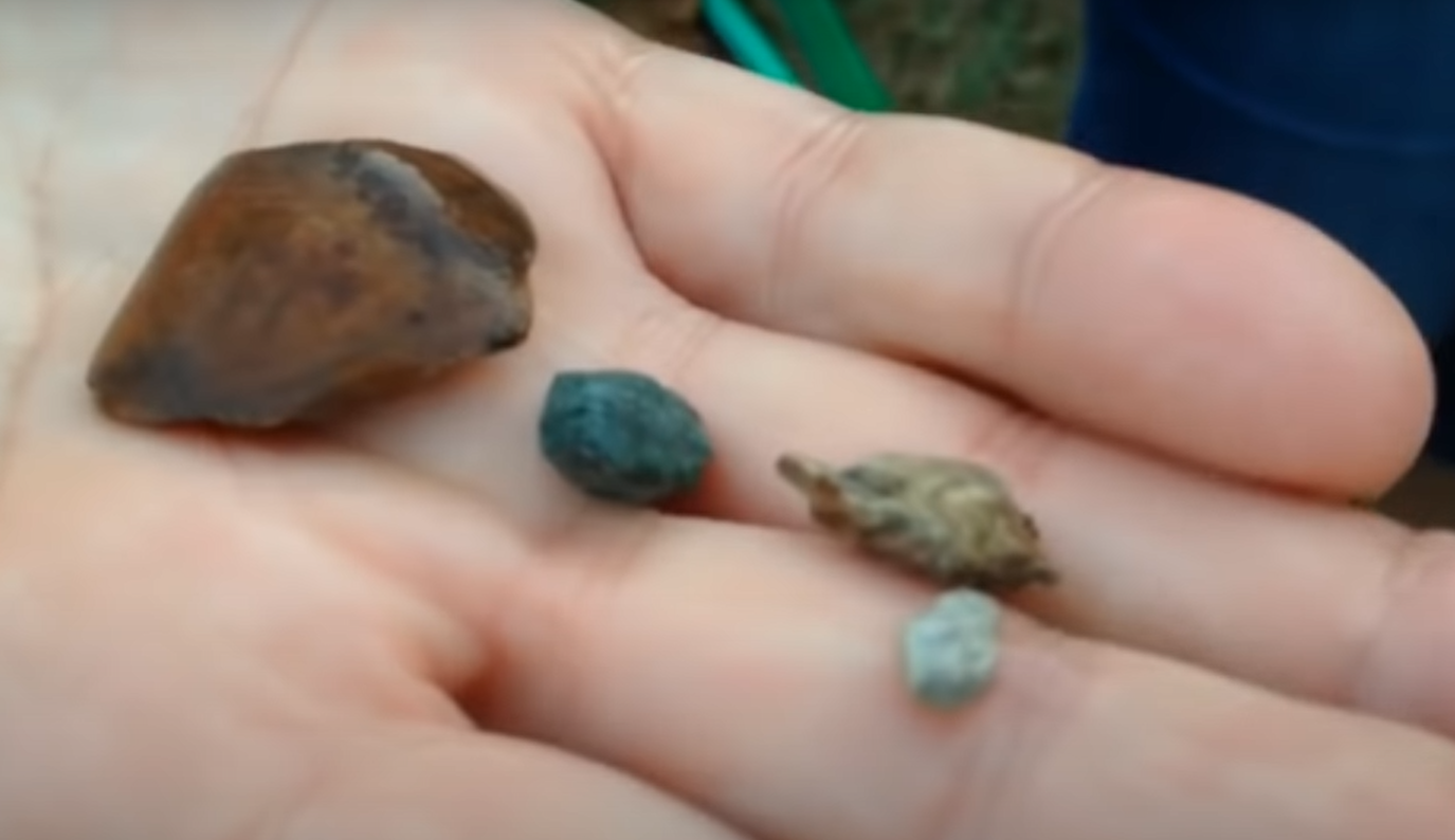 How to Find Diamonds in Your Backyard? GardenProfy