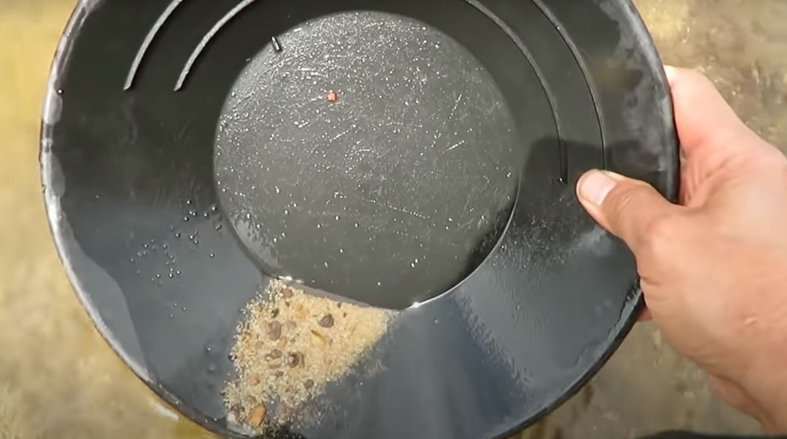 How to Find Diamonds in Your Backyard? GardenProfy