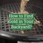 How to Find Gold in Your Backyard?
