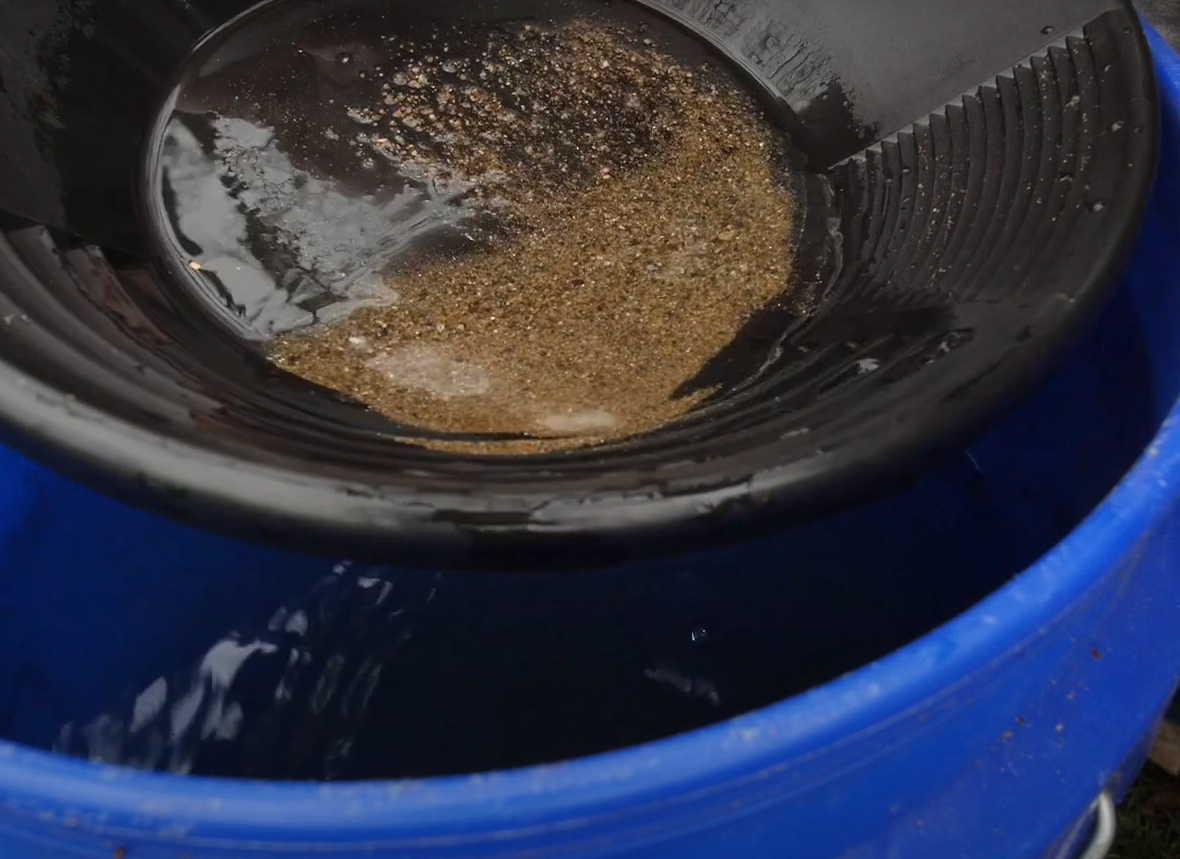 How to Find Gold in Your Backyard? GardenProfy