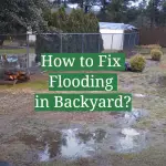 How to Fix Flooding in Backyard?