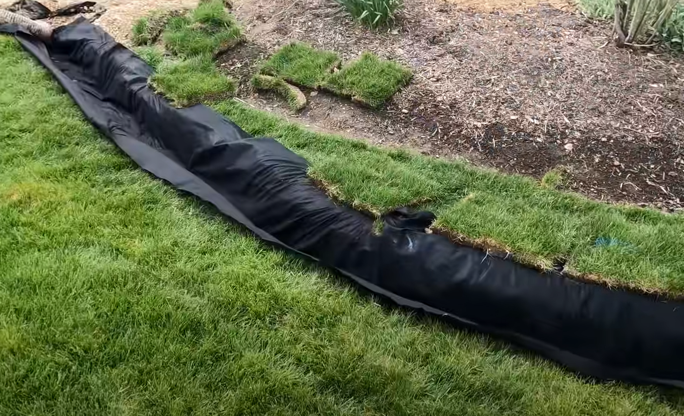 How to Fix Flooding in Backyard? GardenProfy