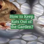 How to Keep Rats Out of the Garden?