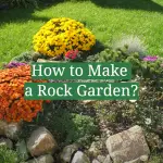 How to Make a Rock Garden?