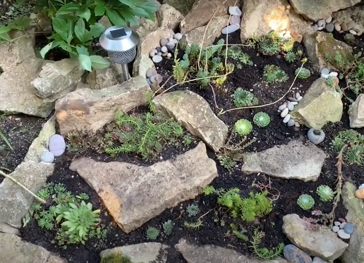 How to Make a Rock Garden? GardenProfy