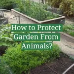 How to Protect Garden From Animals?