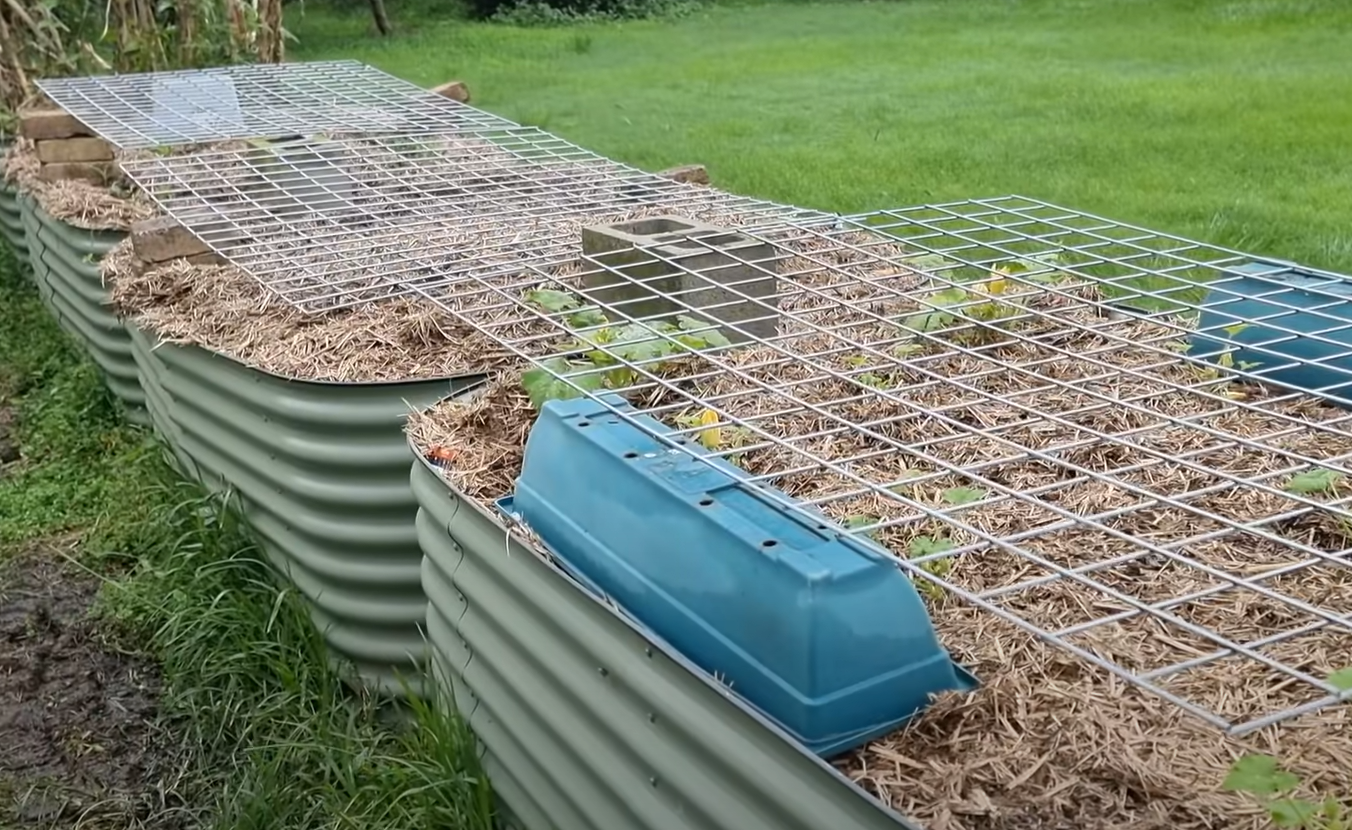 How to Protect Garden From Animals? GardenProfy