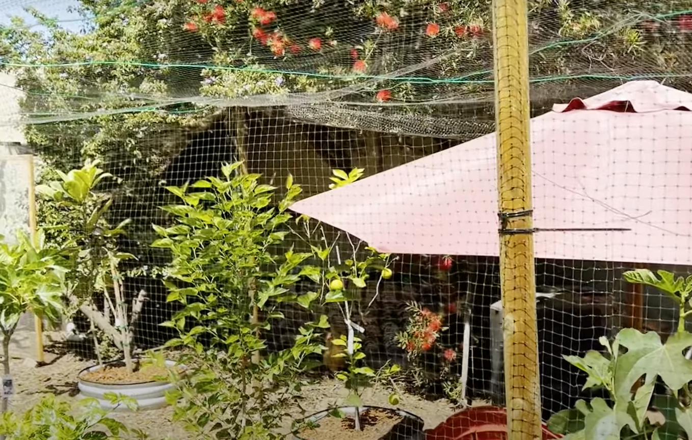 How to Protect Garden From Animals? GardenProfy