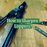 How to Sharpen Loppers?