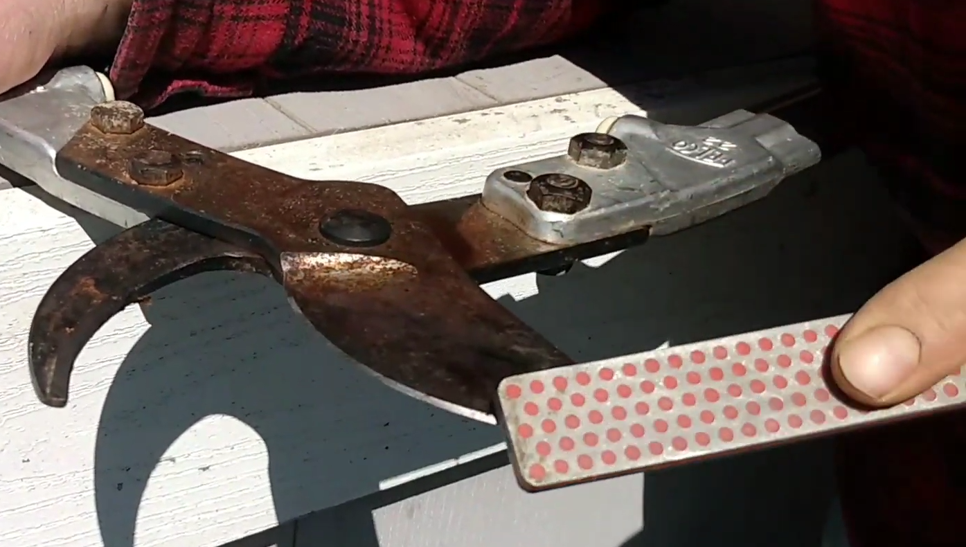 How to Sharpen Loppers? GardenProfy