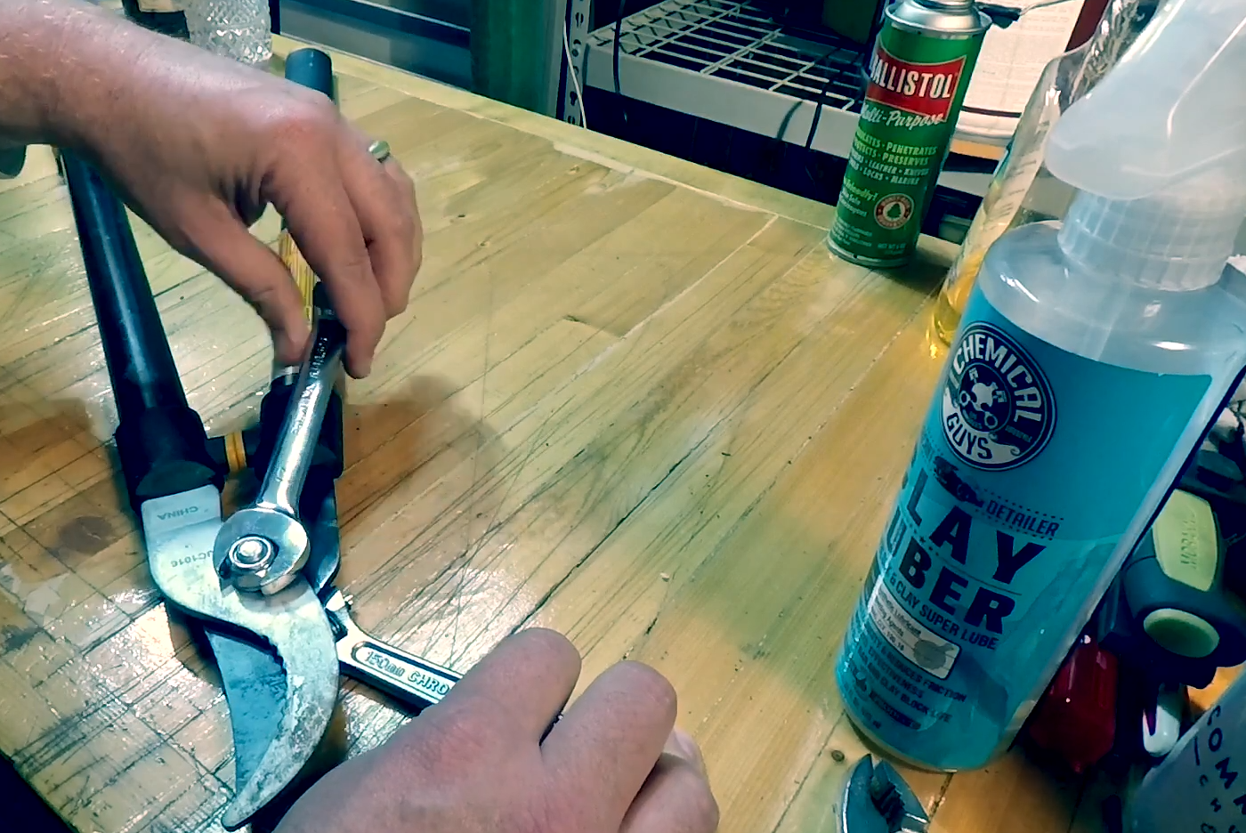 How to Sharpen Loppers? GardenProfy