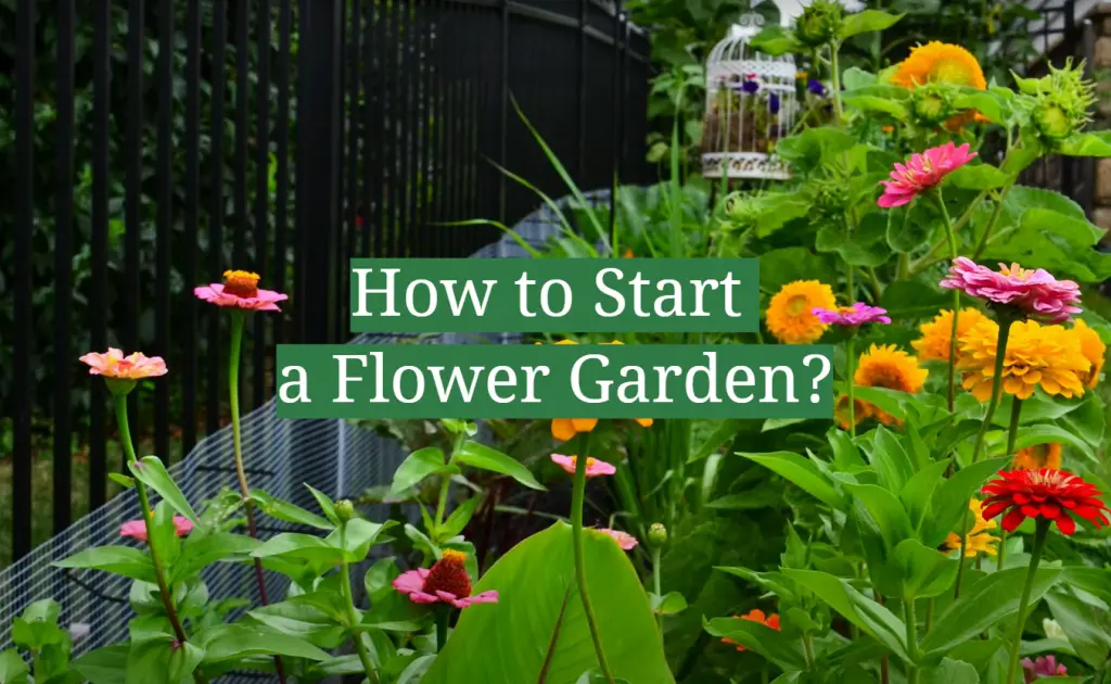 how-to-start-a-flower-garden-gardenprofy