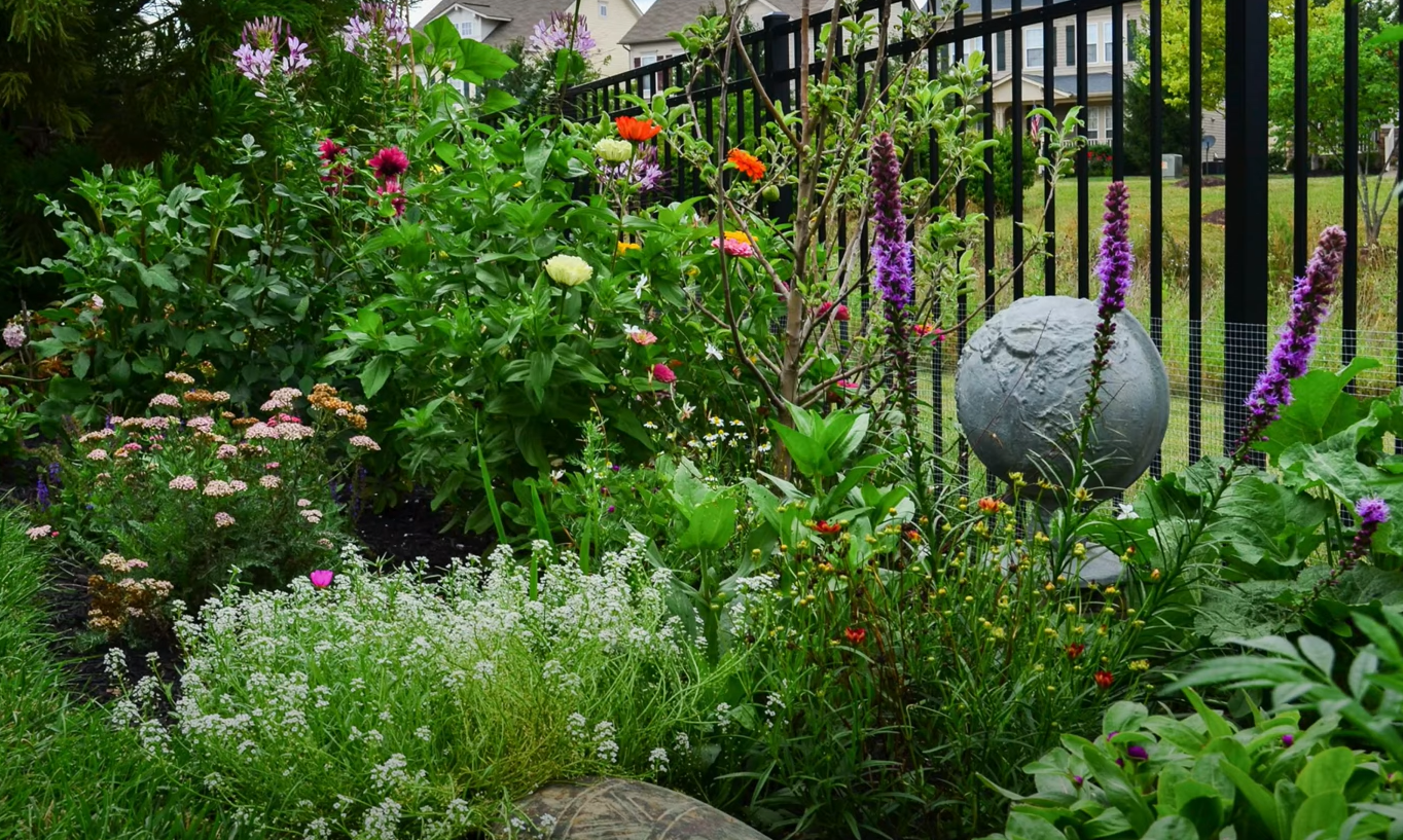 How to Start a Flower Garden? GardenProfy