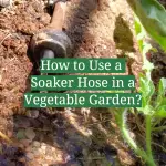 How to Use a Soaker Hose in a Vegetable Garden?