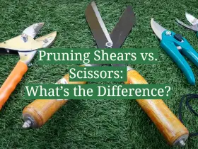Pruning Shears vs. Scissors: What’s the Difference?