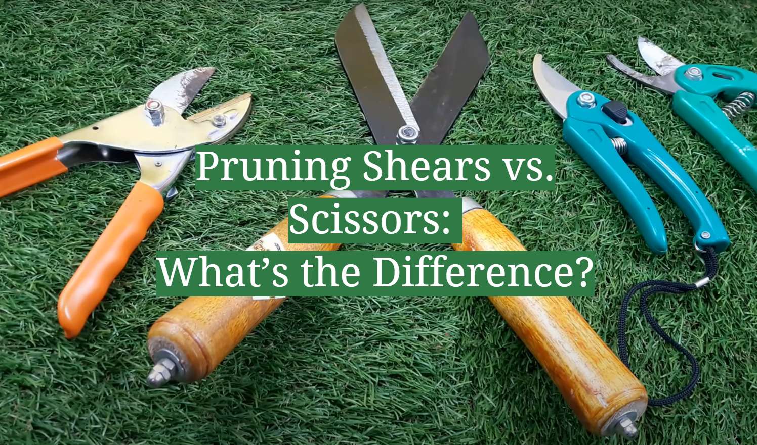 Pruning Shears vs. Scissors: What’s the Difference?