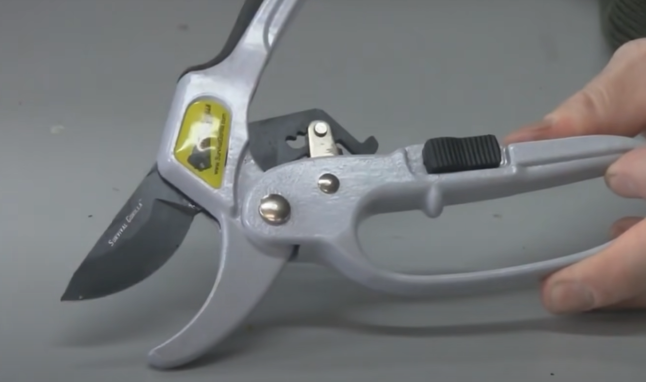 Pruning Shears vs. Scissors: What’s the Difference? - GardenProfy