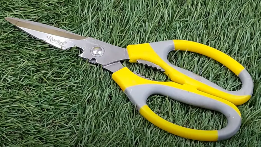 Which tool is best for pruning?