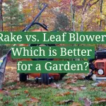 Rake vs. Leaf Blower: Which is Better for a Garden?