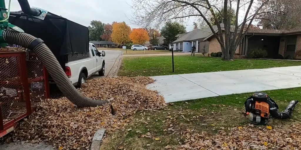 Leaf Blower vs Rake 