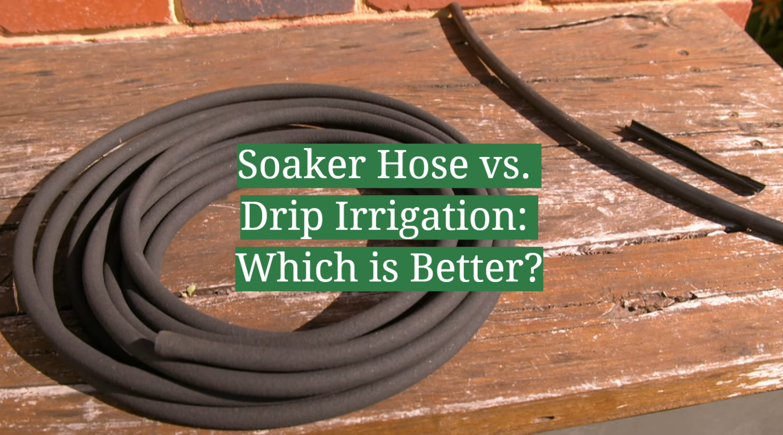 Soaker Hose Vs. Drip Irrigation: Which Is Better? - GardenProfy