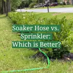 Soaker Hose vs. Sprinkler: Which is Better?