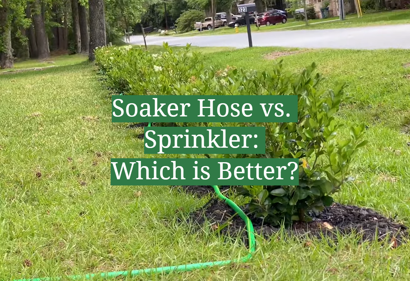 Soaker Hose vs. Sprinkler: Which is Better?