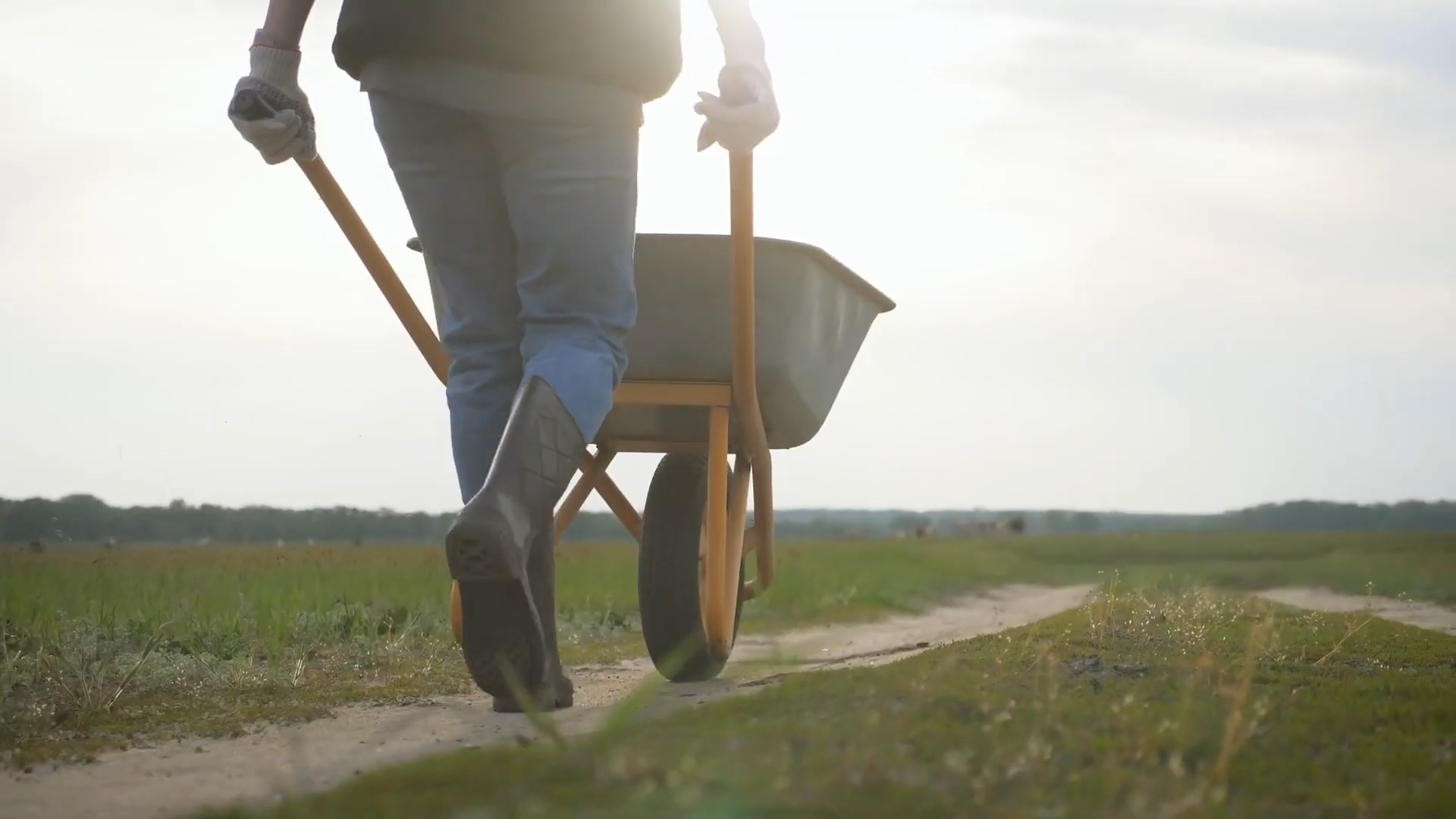 Wheelbarrow vs. Gorilla Cart Which is Better? GardenProfy
